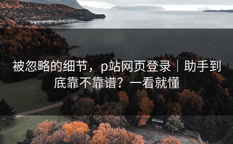 被忽略的细节,p站网页登录|助手到底靠不靠谱?一看就懂
